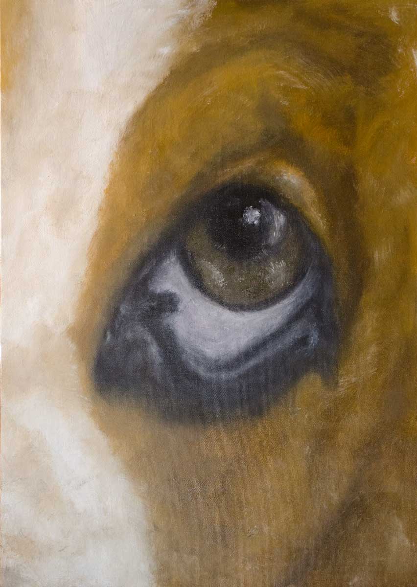 basset hound eye oil painting close up dog eye art on canvas panel